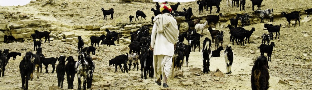 The Ark of Livestock Biodiversity